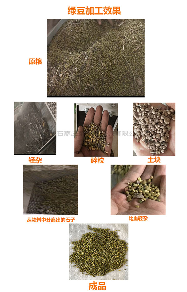 綠豆生產(chǎn)線(xiàn)效果圖.jpg